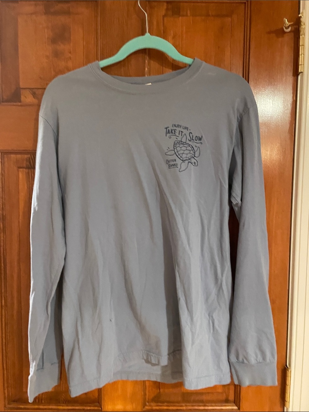 Comfort Colors Light Blue Long-Sleeve Tee with Turtle Graphic